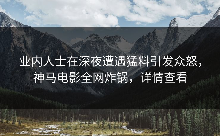业内人士在深夜遭遇猛料引发众怒，神马电影全网炸锅，详情查看